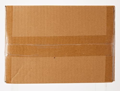 Basics Gravity Pet Water Dispenser for Cats & Dogs – 1 Gallon Capacity, Gray