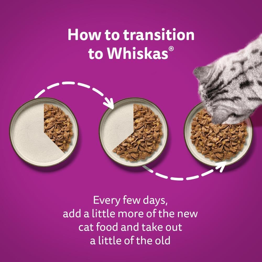 Whiskas 1+ Adult Wet Cat Food in Jelly — Fish & Poultry Flavours | Multipack