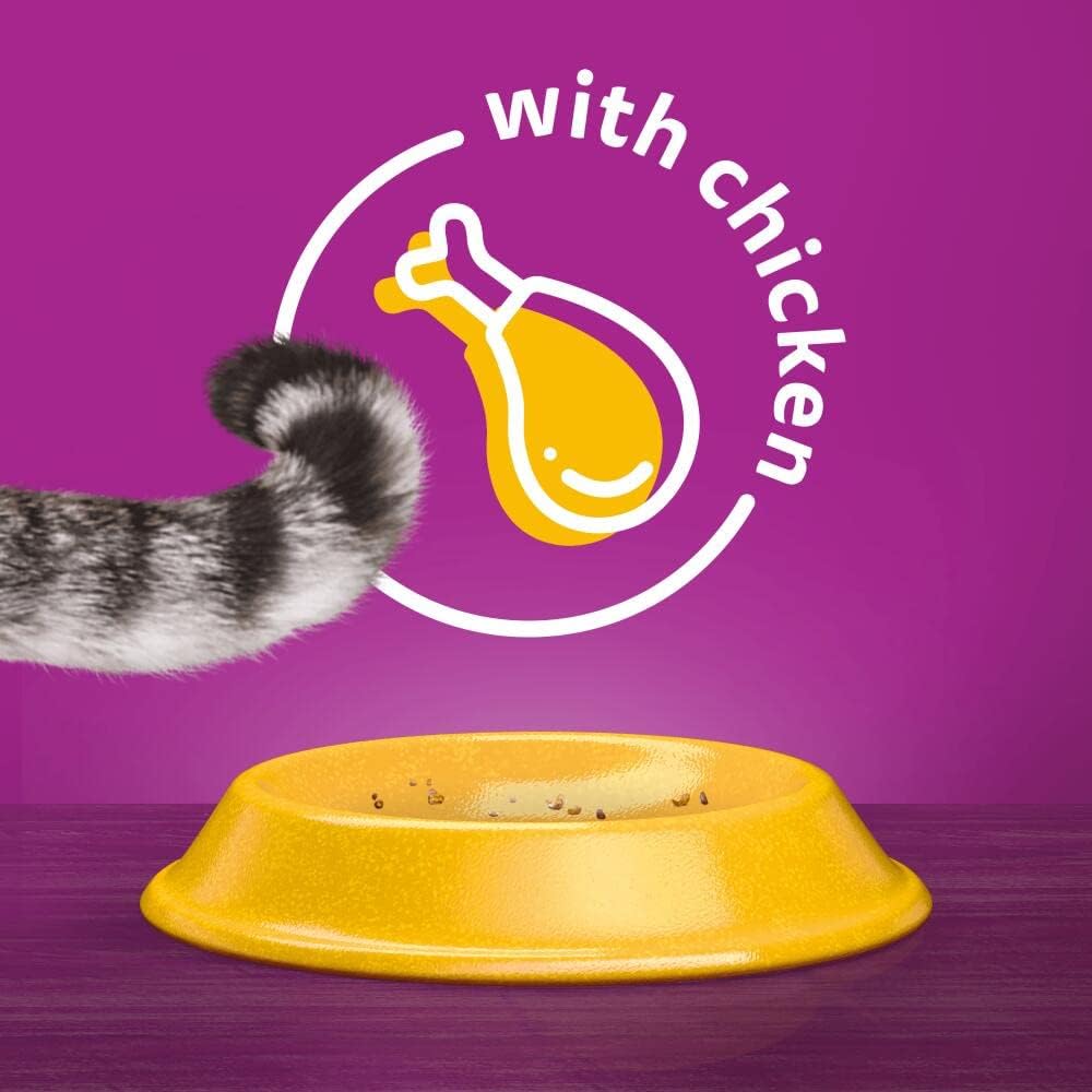 Whiskas 1+ Dry Cat Food Chicken | Complete Nutrition for Adult Cats 🐱