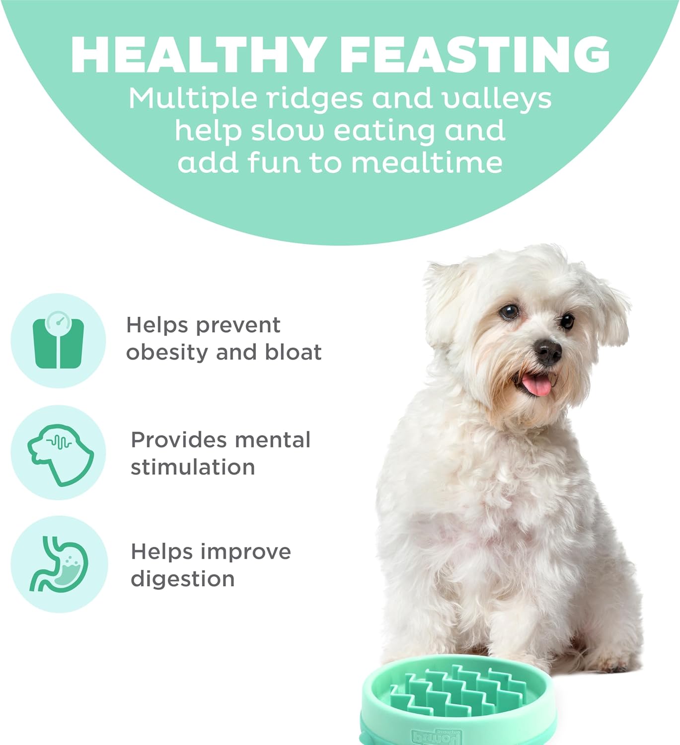 Outward Hound Puppy Slow Feeder Bowl – Slows Eating, Anti-Choking & Digestive Support for Dogs & Cats