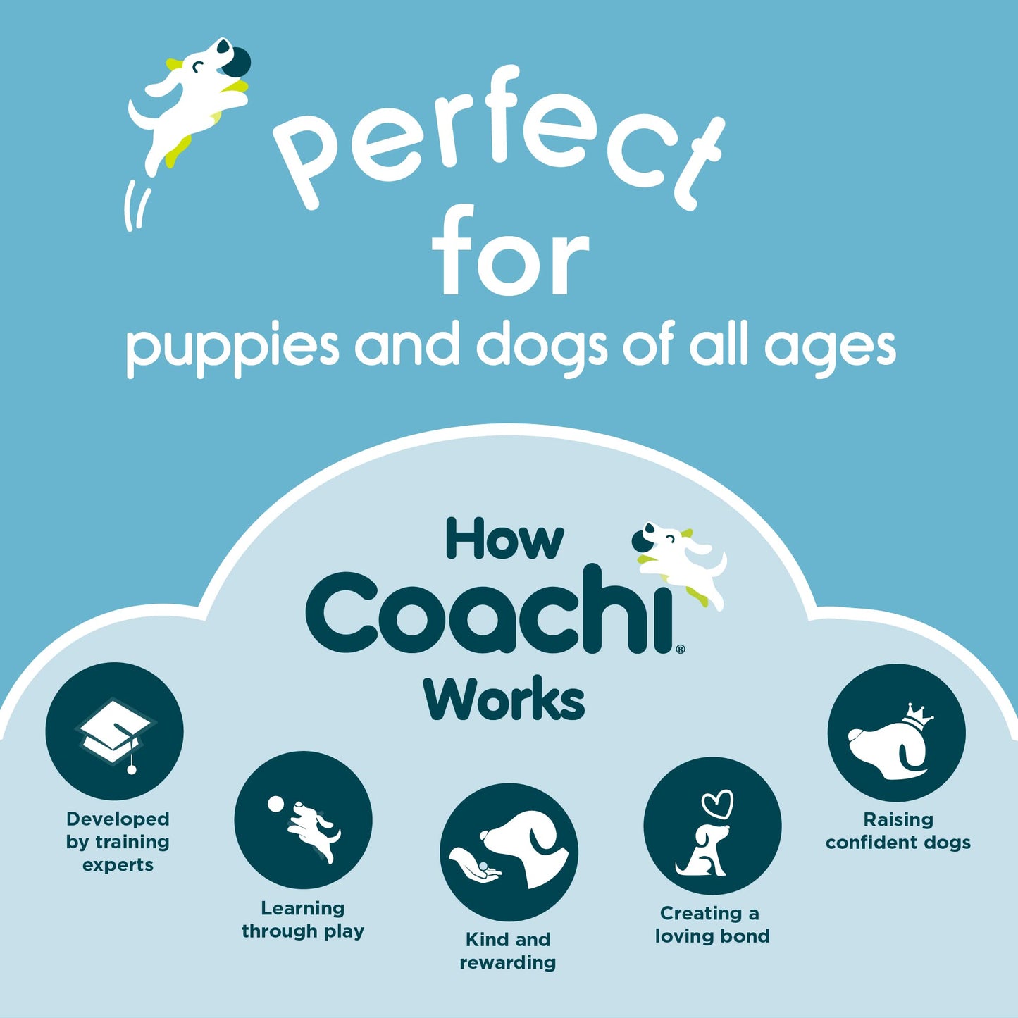 Coachi Training Line 5m, Safe Training Outdoors, Recall Training, Dog & Puppy Socialization, Lightweight, Soft to Hold, Suitable for Small & Medium Dogs & Puppies, Navy and Lime