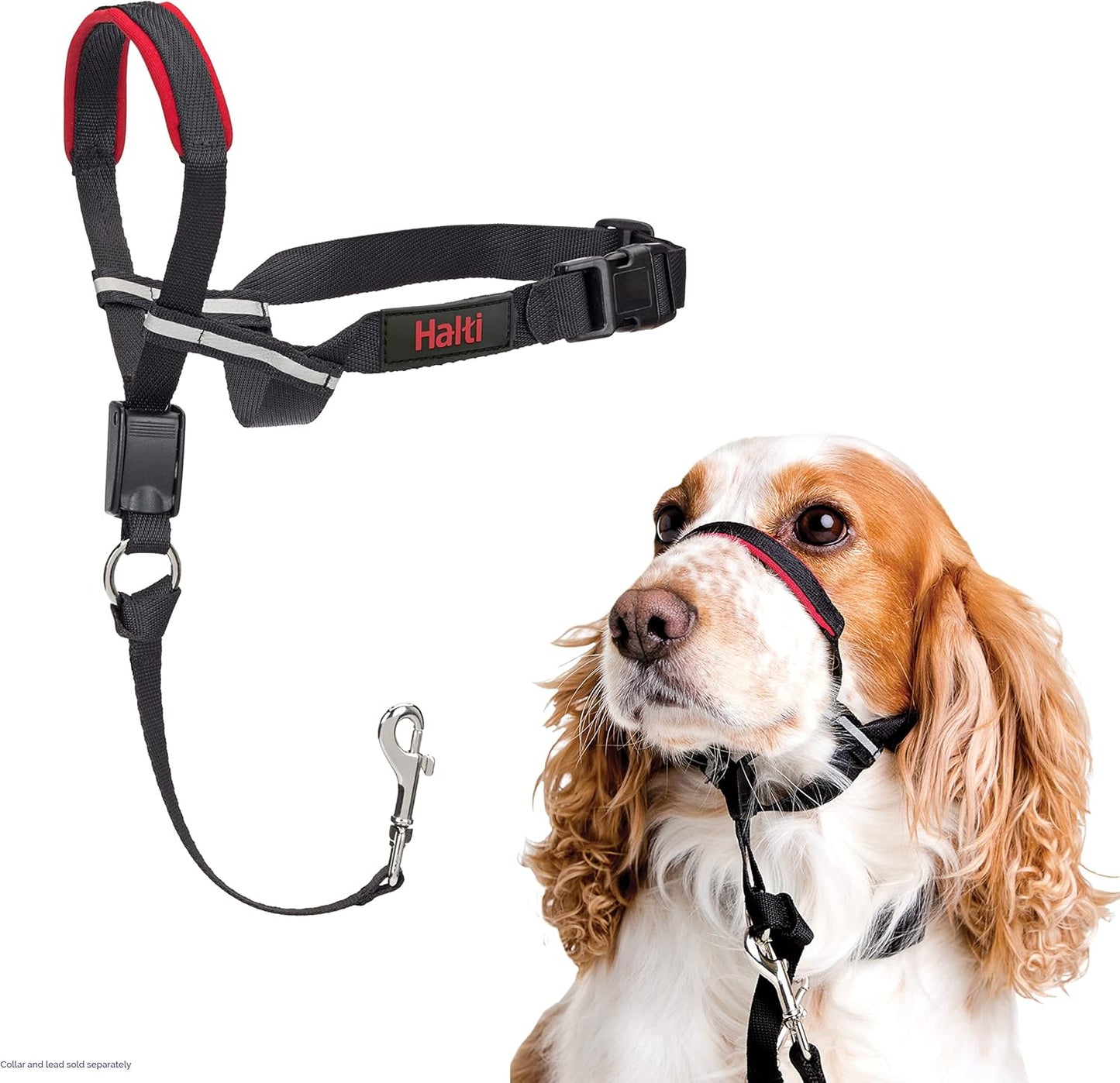 HALTI Optifit Headcollar - To Stop Your Dog Pulling on the Leash. Adjustable, Reflective and Lightweight, with Padded Nose Band. Dog Training Anti-Pull Collar for Large Dogs (Size Large)