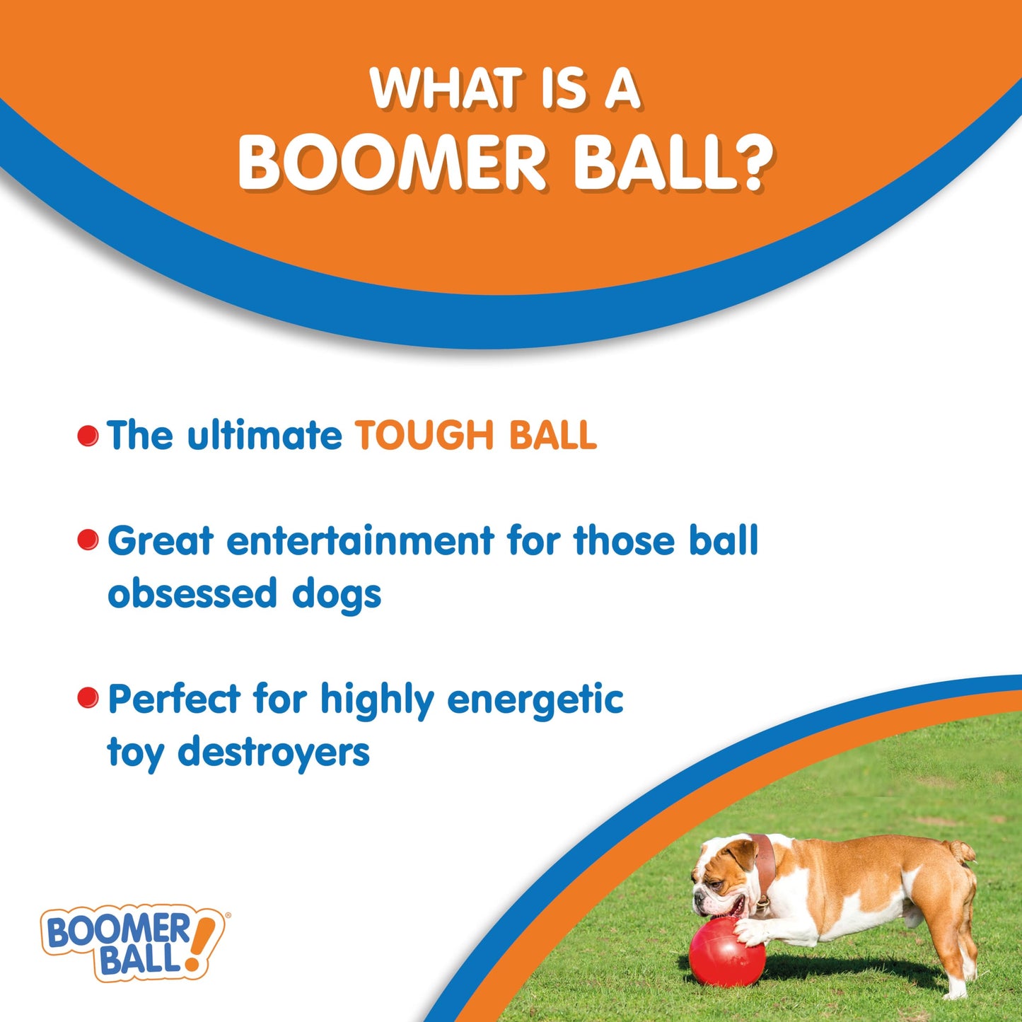 BOOMER BALL 10 inch, Virtually Indestructible Best Dog Toy, Boredom Busting Football, Tough&Durable Large Dog Ball, Floats on Water, Great for Mental Stimulation&High Energy Dogs, Assorted Colours