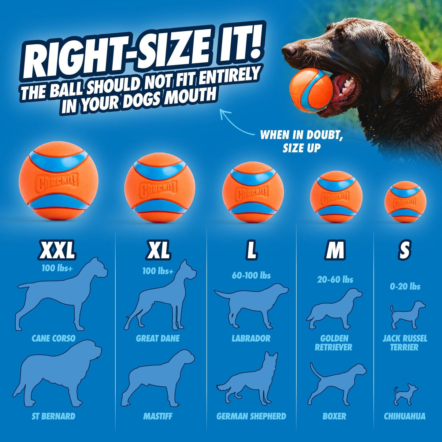 Chuckit! Ultra Ball Dog Toy - Size XXL - For Dogs 100+ lbs - Made from Durable Rubber - Super Bouncy - Floats in Water - 4-inch Diameter - Pack of 1