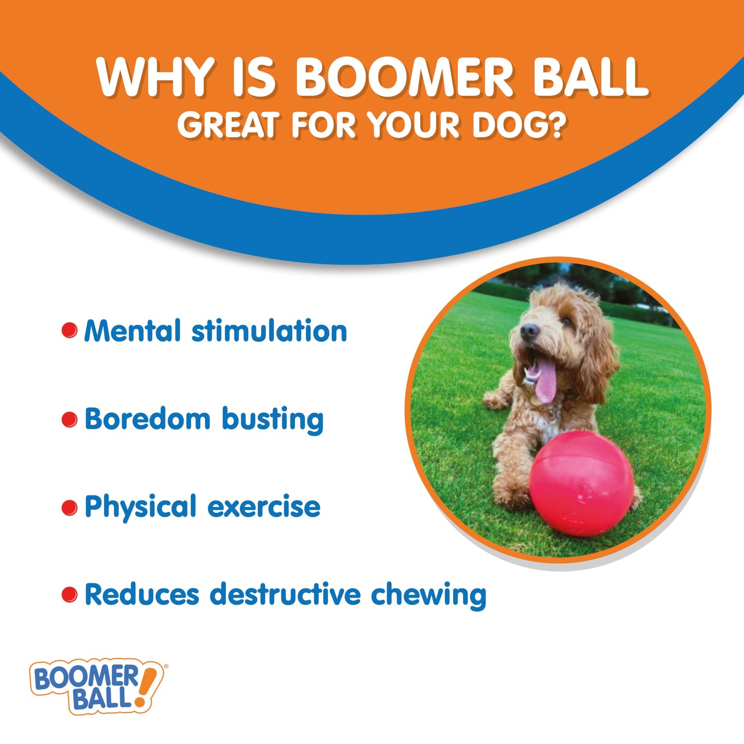 BOOMER BALL 10 inch, Virtually Indestructible Best Dog Toy, Boredom Busting Football, Tough&Durable Large Dog Ball, Floats on Water, Great for Mental Stimulation&High Energy Dogs, Assorted Colours