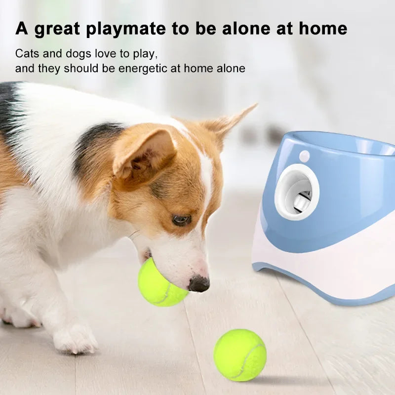 Automatic Pet Dogs Chase Fun Interactive Throw Catapult Dog Tennis Automatic Launcher Dogs Ball Catapult Pet Interactive