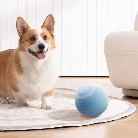 Auto-Rolling Pet Toy Ball - Smart LED Entertaiment for Cats & Dogs
