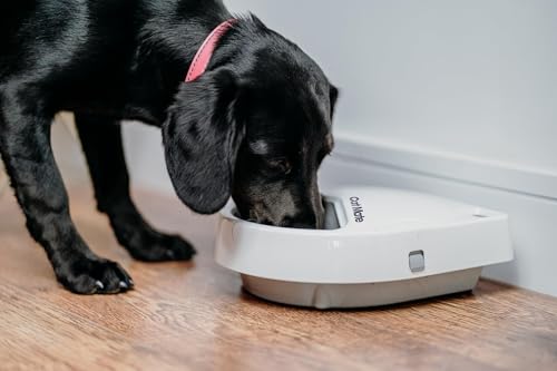 Cat Mate C300 Automatic 3 Meal Pet Feeder with Digital Timer (366) - for Cats or Small Dogs, for Wet and Dry Pet Food, Meals up to 330 g Each, White