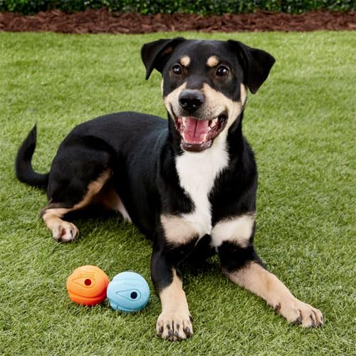 Chuckit! The Whistler Ball Dog Toy, Large (3 Inch Diameter) for Dogs 60-100 lbs, Pack of 1