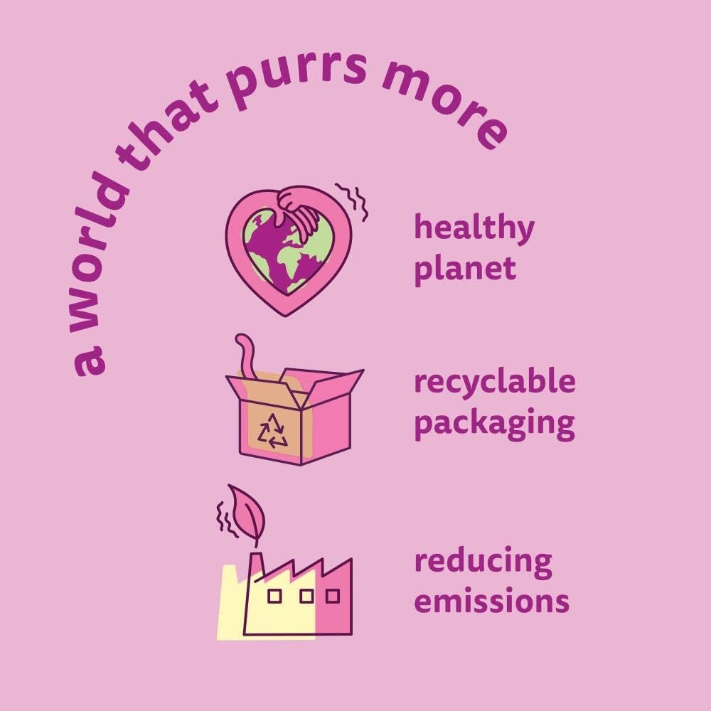 Whiskas Kitten Chicken Dry Food | Healthy Start for Kittens 🐱