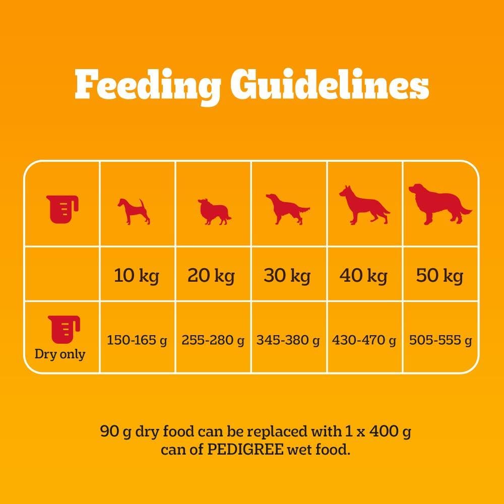 Pedigree Complete Dog Dry Food
