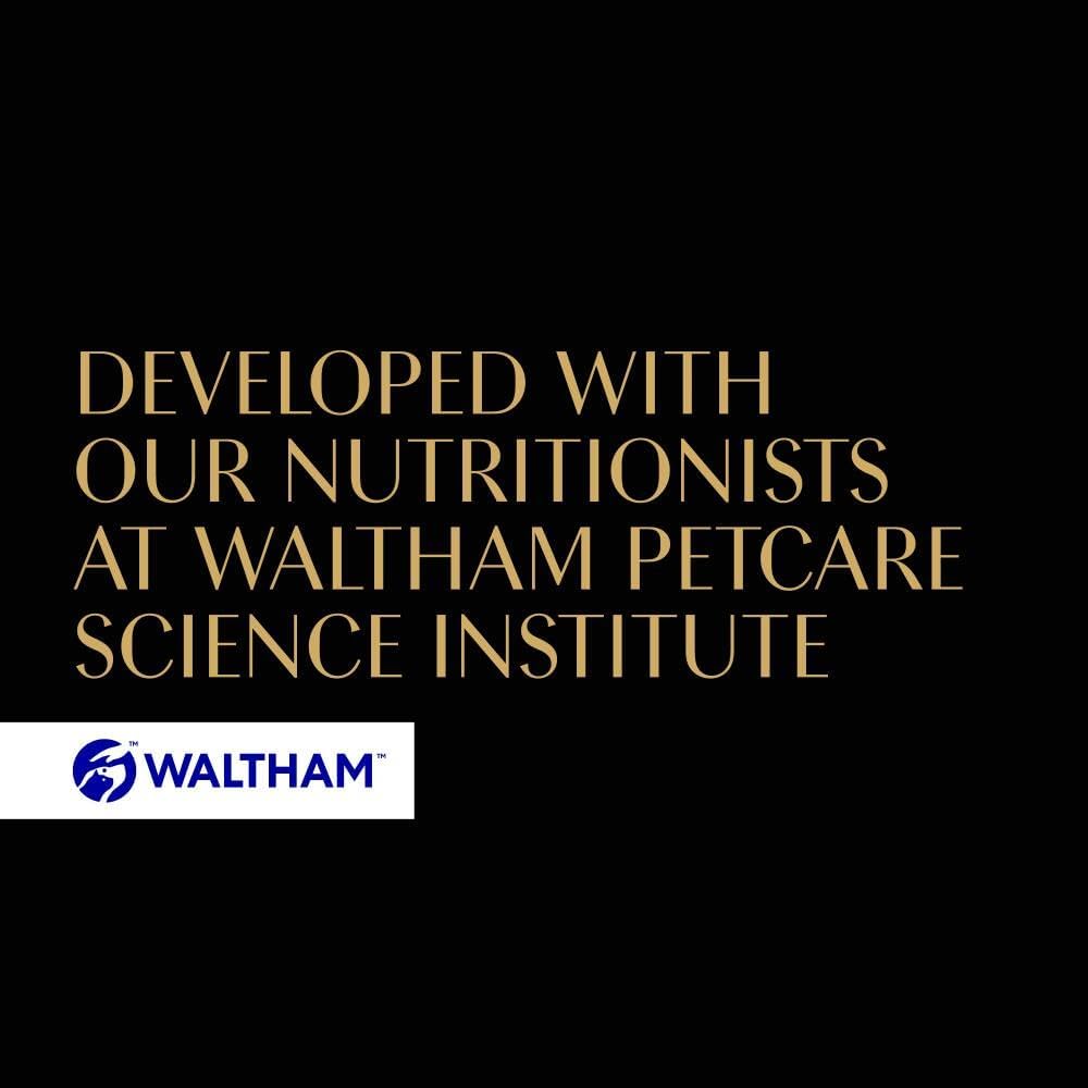 Sheba Fine Flakes in Jelly Wet Cat Food — Adult Cats | Poultry Collection, Fish Flavours