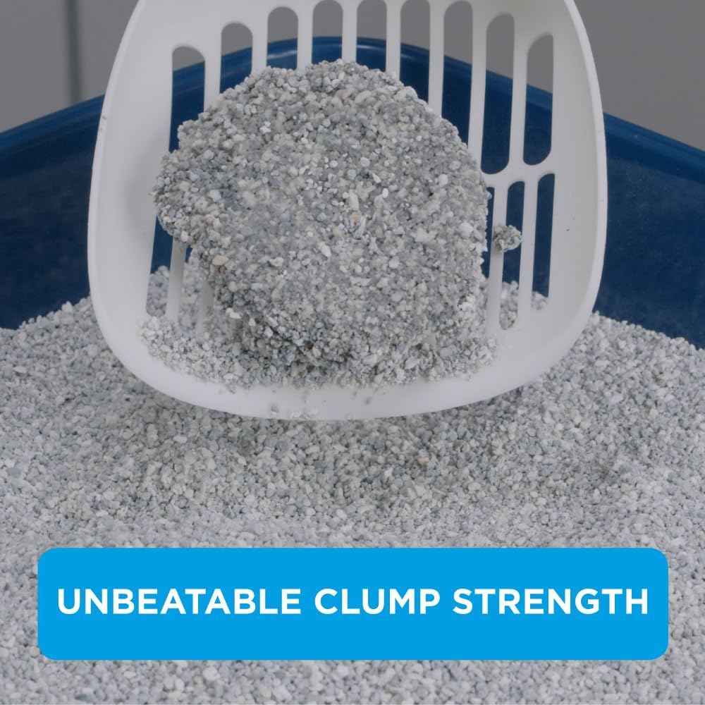 Ever Clean Senior Cat, Clumping Cat Litter