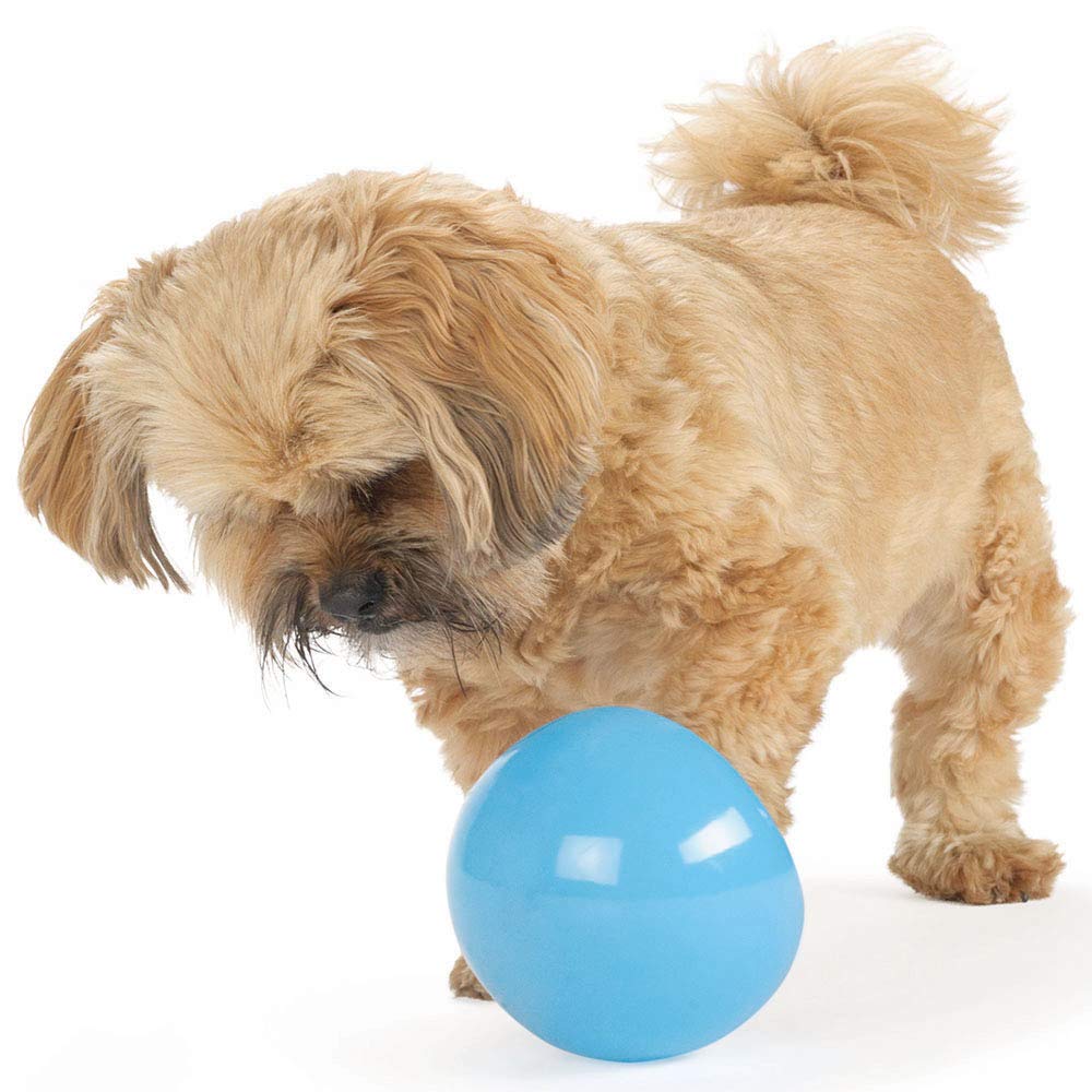 Outward Hound by Planet Dog Snoop Durable Interactive Treat Dispensing Dog Toy, Large, Blue