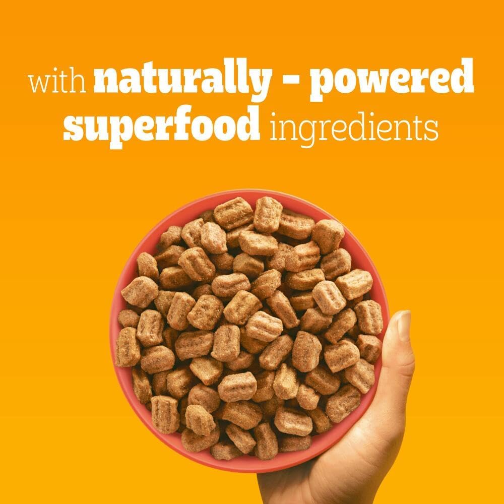 Pedigree Complete Dog Dry Food