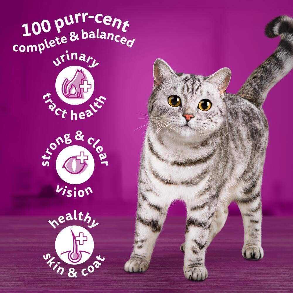 Whiskas 1+ Dry Cat Food Chicken | Complete Nutrition for Adult Cats 🐱