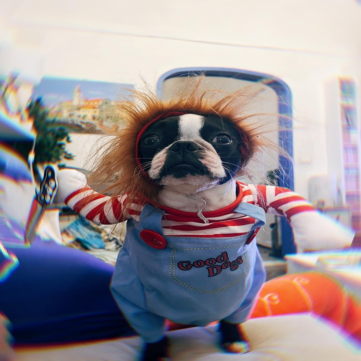 Deadly Doll Dog Clothes, Pets Costume Halloween Cosplay for Dogs, Funny Dog Party Clothes Hat Christmas Costume Dog Party Clothes (L)