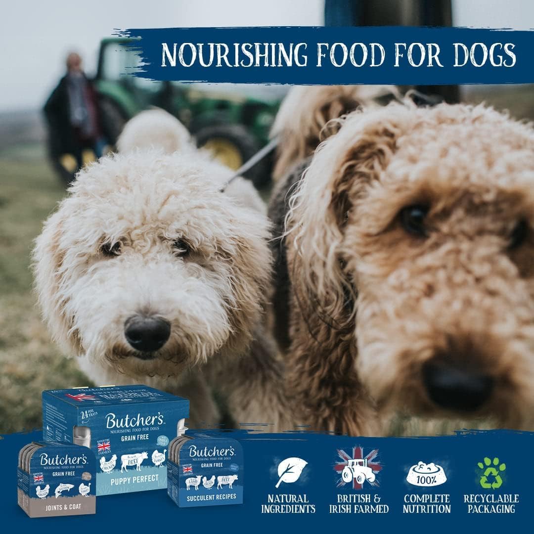 Butcher's Grain Free Recipes in Gravy Wet Dog Food