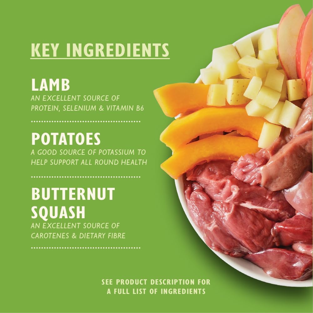 Lily’s Kitchen Natural Adult Wet Dog Food – Classic Dinners with Real Meat & Veggies