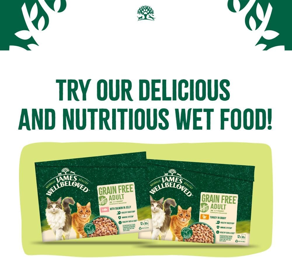 James Wellbeloved Hypoallergenic Dry Cat Food for Adult Cats