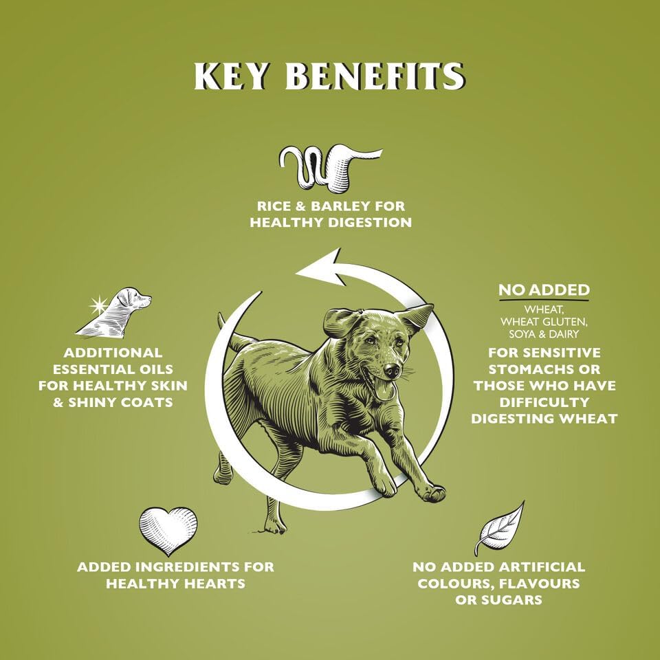 Dr John Dry Dog Food UK | Hypoallergenic, Grain Free & Wheat Free | Adult Dog Food