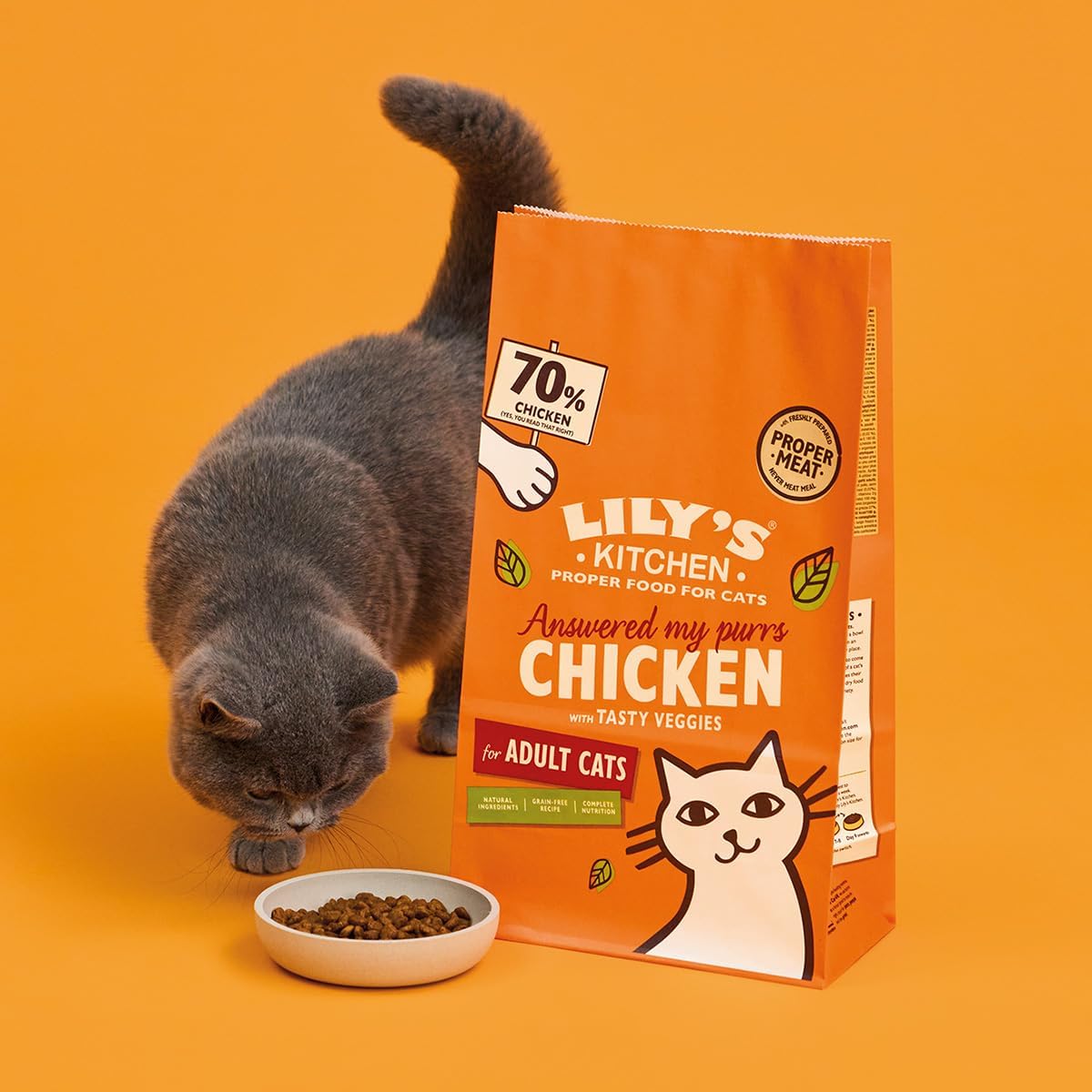 Lily's Kitchen For Adult Dry Cat Food Made with Natural Ingredients