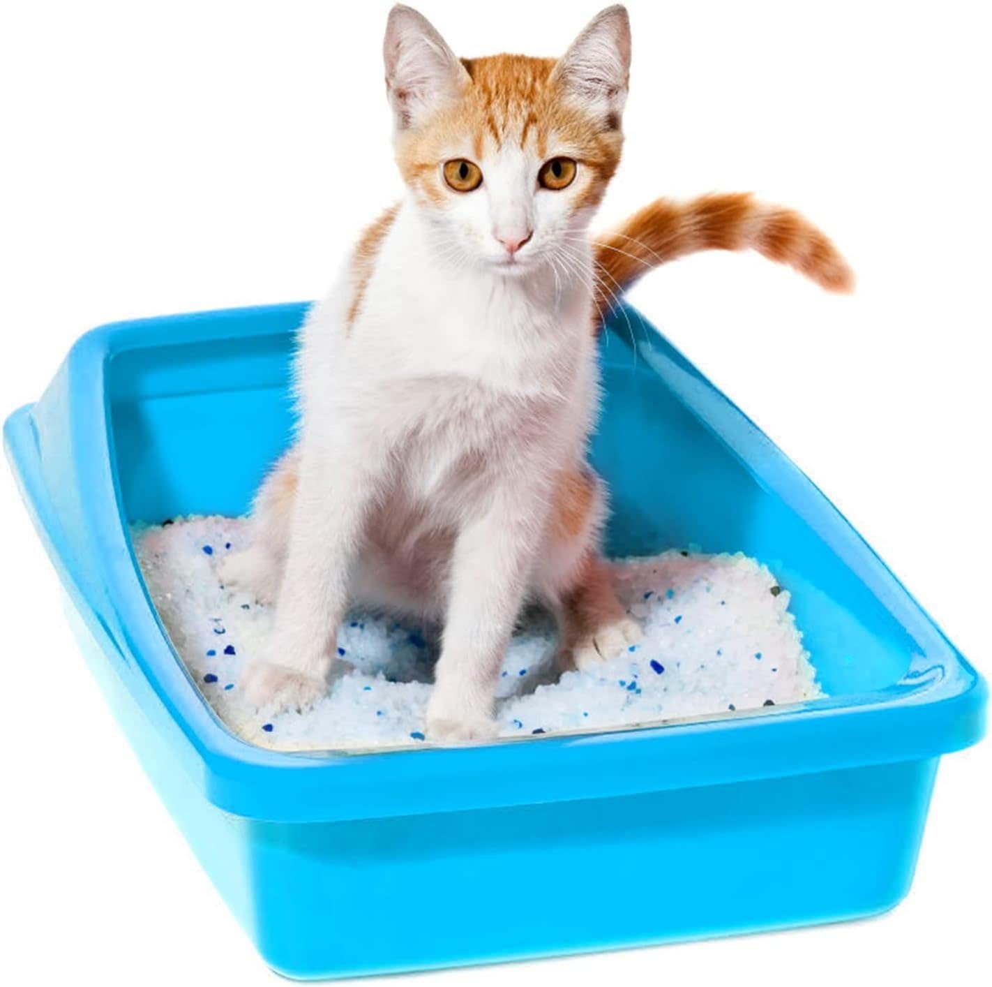 Nobleza - Silica Cat Litter Diamond Gel kitten Litter Absorbent, Comfortable Biodegradable