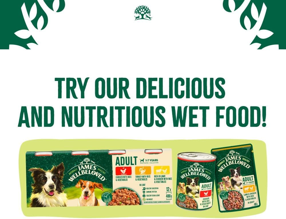 James Wellbeloved Dog Adult Hypoallergenic Dry Food