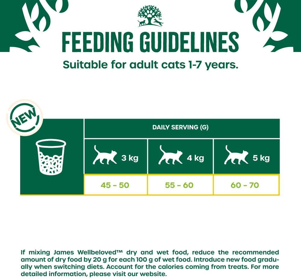 James Wellbeloved Hypoallergenic Dry Cat Food for Adult Cats