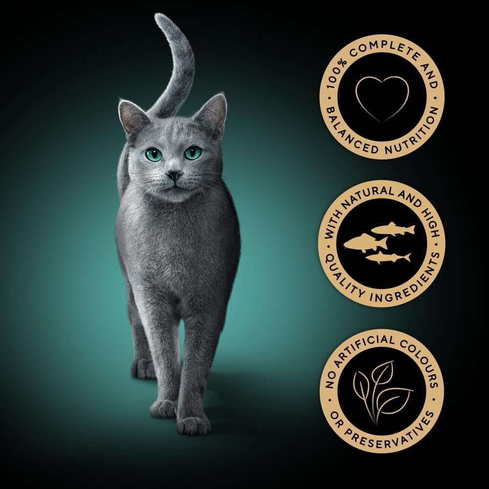 SHEBA Gourmet Wet Cat Food Pouches – Premium Meal for Cats