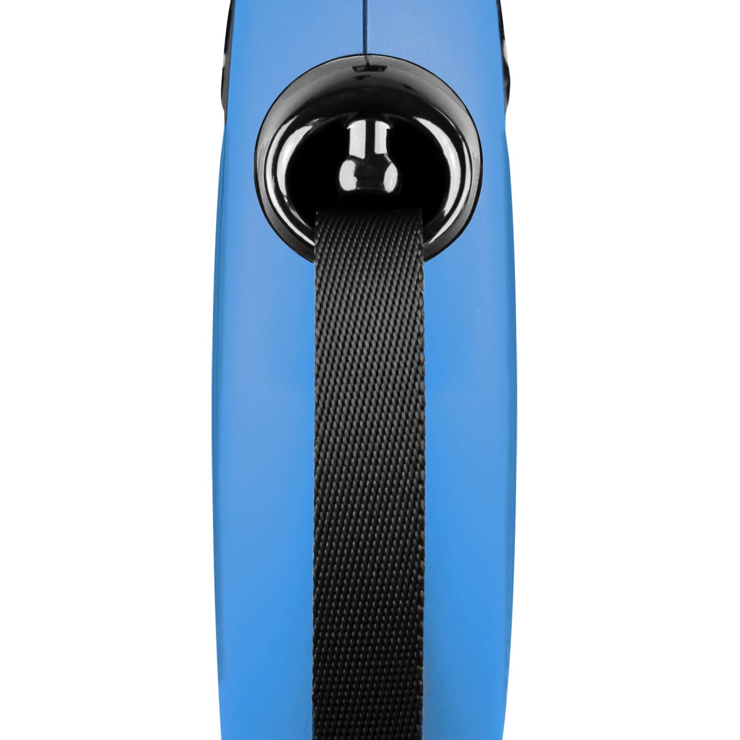 Flexi Cl30T8.210.Bl Roll-Leash New Classic L Tape 8 M, Blue