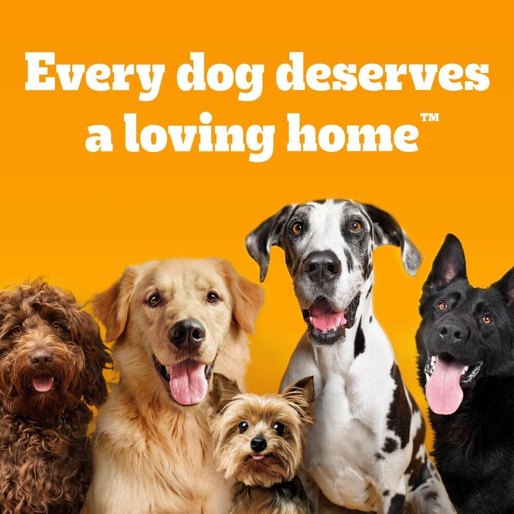 Pedigree Complete Dog Dry Food