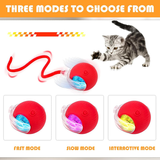 Chewie Interactive Toys, 2 Pack Chewie Ball for Cats & Dogs, 360° Smart Automatic Rolling Ball for Large, Medium & Small Pets