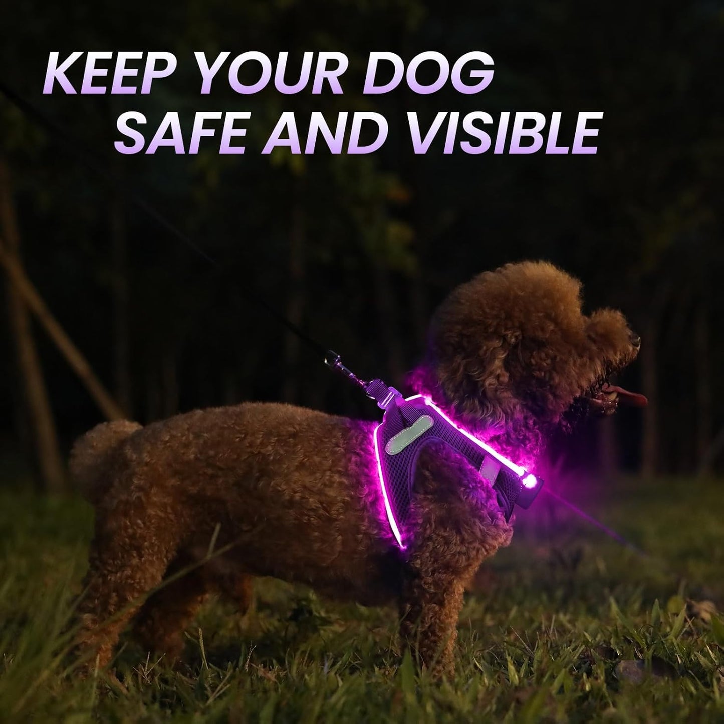 Light Up Dog Harness – Rechargeable LED Glow Harness for Small & Medium Dogs, Waterproof & Reflective for Night Walking