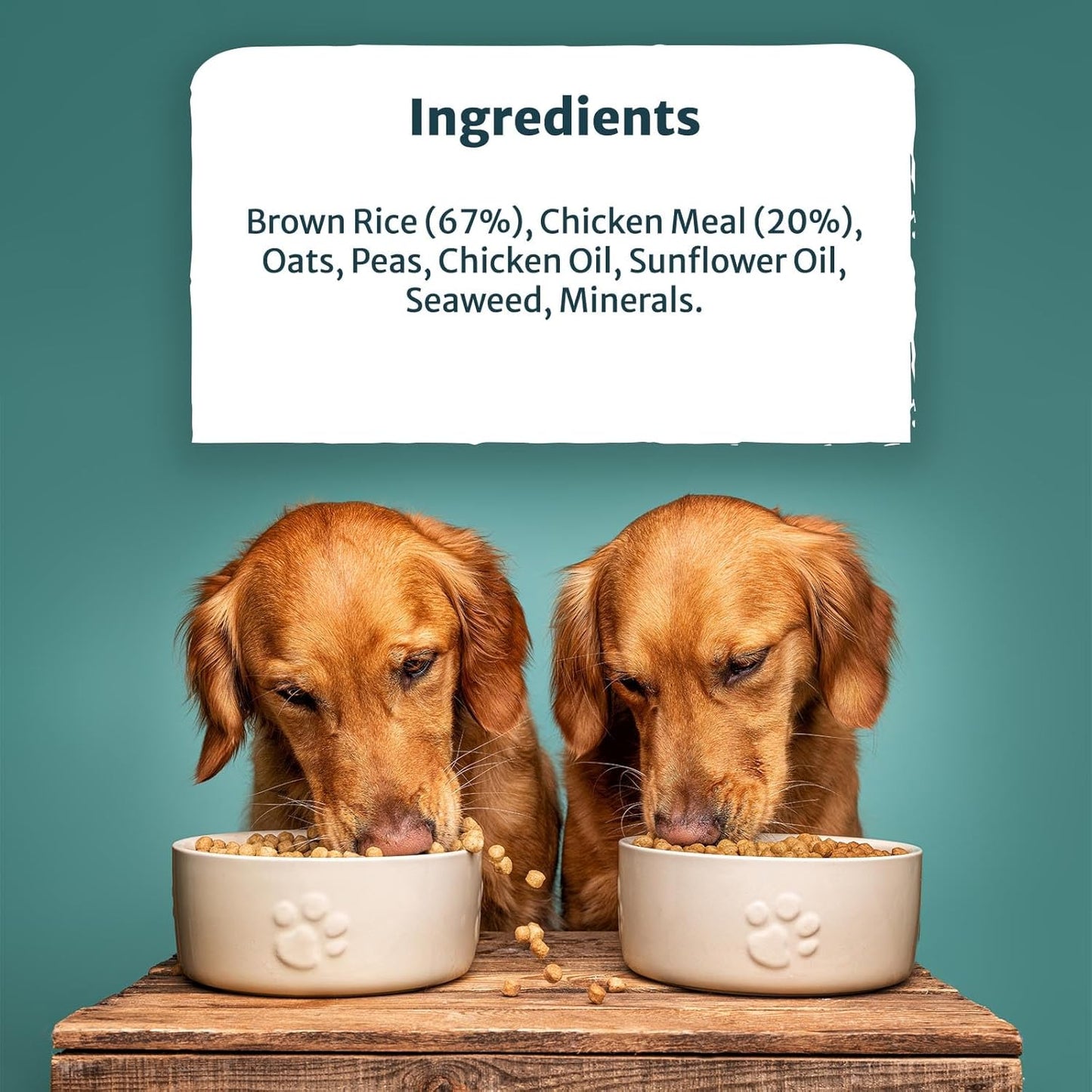 Burns Pet Nutrition Hypoallergenic Complete Dry Dog Food Original Adult and Senior