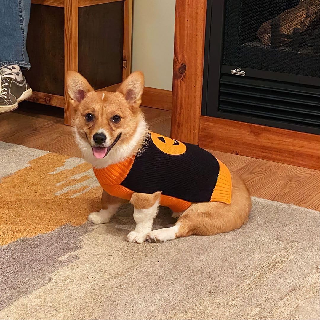 Knitted Pumpkin Dog Costume - Halloween Jumper for Small, Medium & Large Dogs - Funny Party Outfit for Cats & Puppies - Black