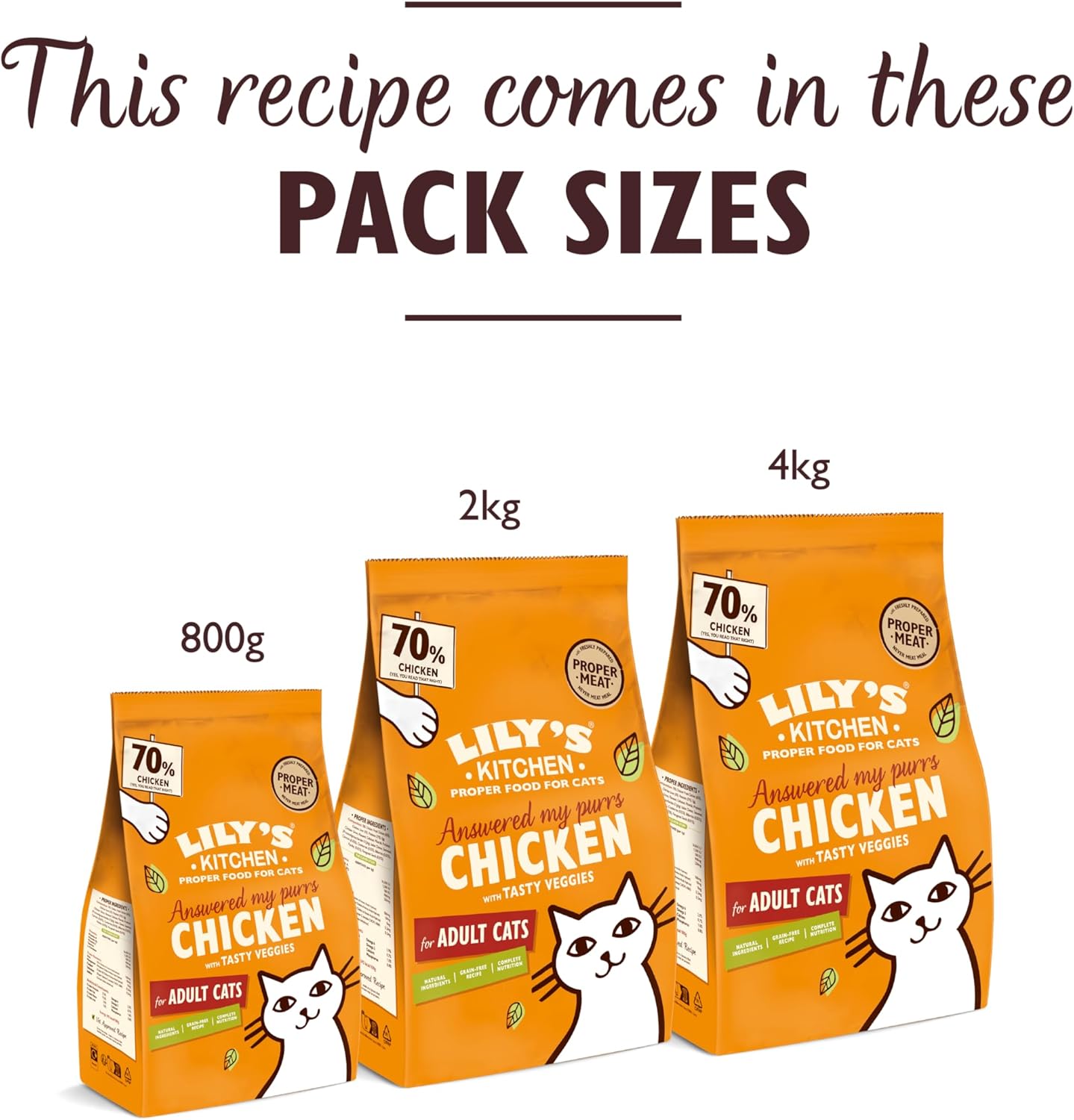 Lily's Kitchen For Adult Dry Cat Food Made with Natural Ingredients