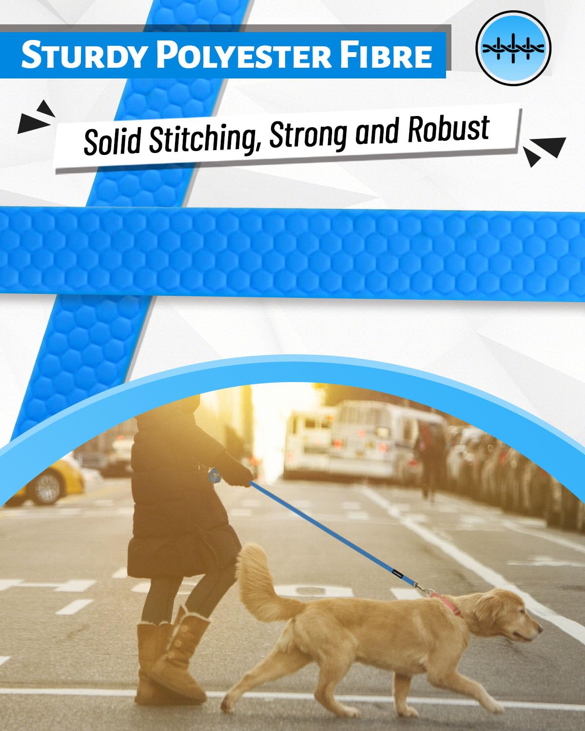 Looxmeer Dog Training Lead, 5M(16ft) Strong Extra Long Dog Lead for Small Medium Large Dog with Padded Handle & Storage Bag, Waterproof Dog Leash for Recall Tracking Hiking Hunting Obedience, Blue