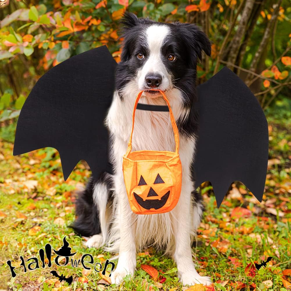 Vivifying Cat Bat Wings, Cat Halloween Costume with Pumpkin Bell, Adjustable Pet Cosplay Costumes for Pet（Neck: 9.4-12.6 in/Chest: 12.9-19.7 in
