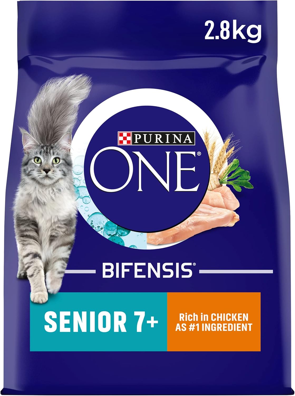 Purina ONE Dry Cat Food – Kitten, Adult & Senior