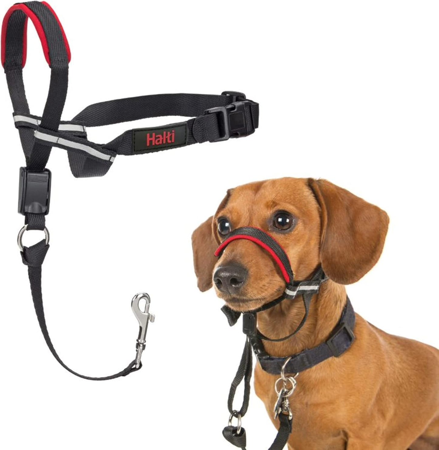 HALTI Optifit Headcollar - To Stop Your Dog Pulling on the Leash. Adjustable, Reflective and Lightweight, with Padded Nose Band. Dog Training Anti-Pull Collar for Large Dogs (Size Large)