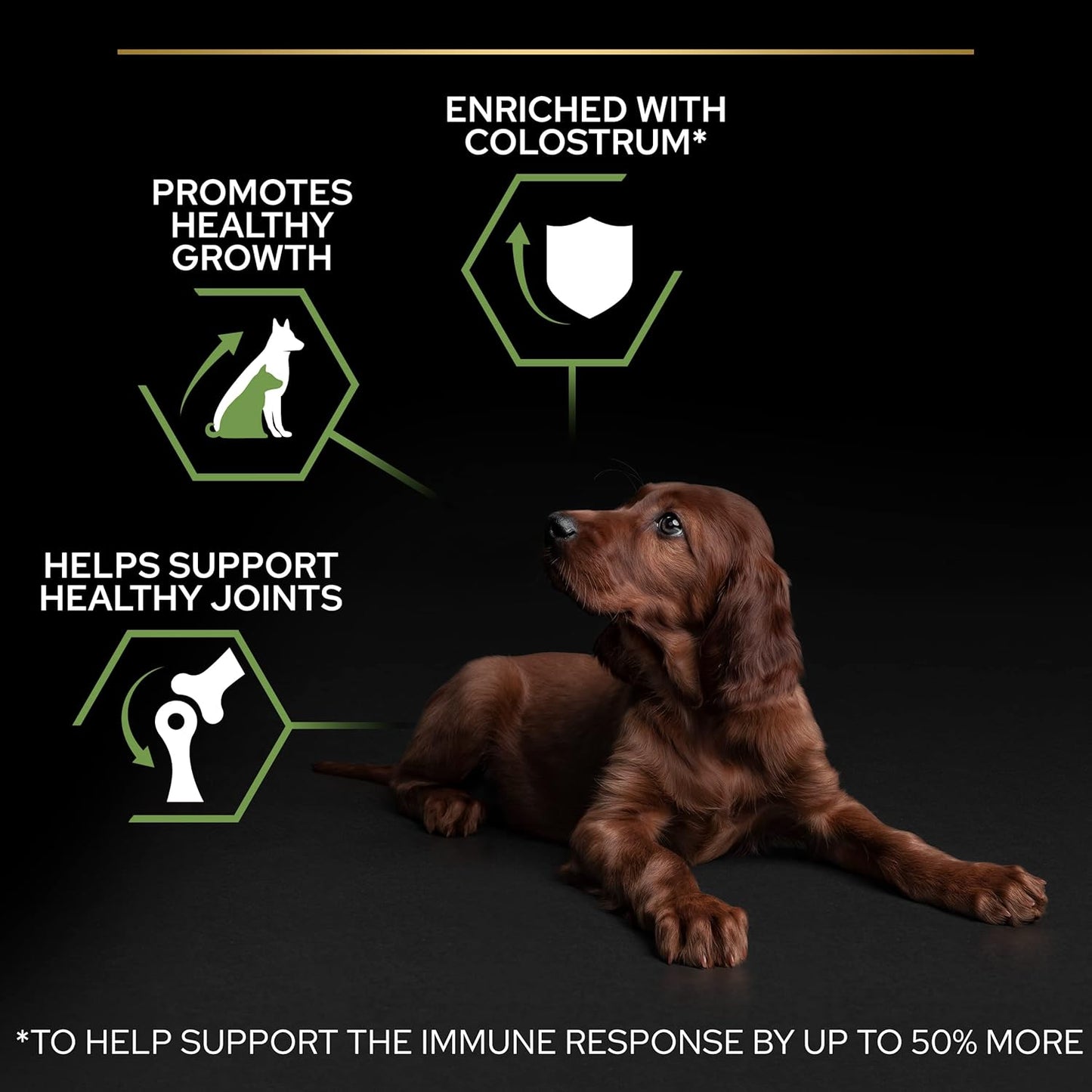 PRO PLAN® Large Athletic Puppy Healthy Start Dry Dog Food