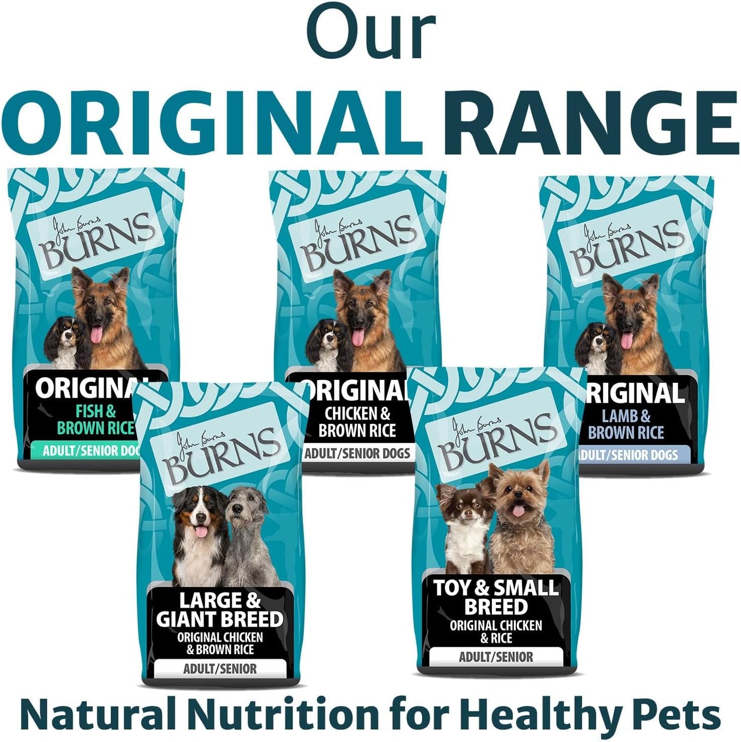 Burns Pet Nutrition Hypoallergenic Complete Dry Dog Food Original Adult and Senior