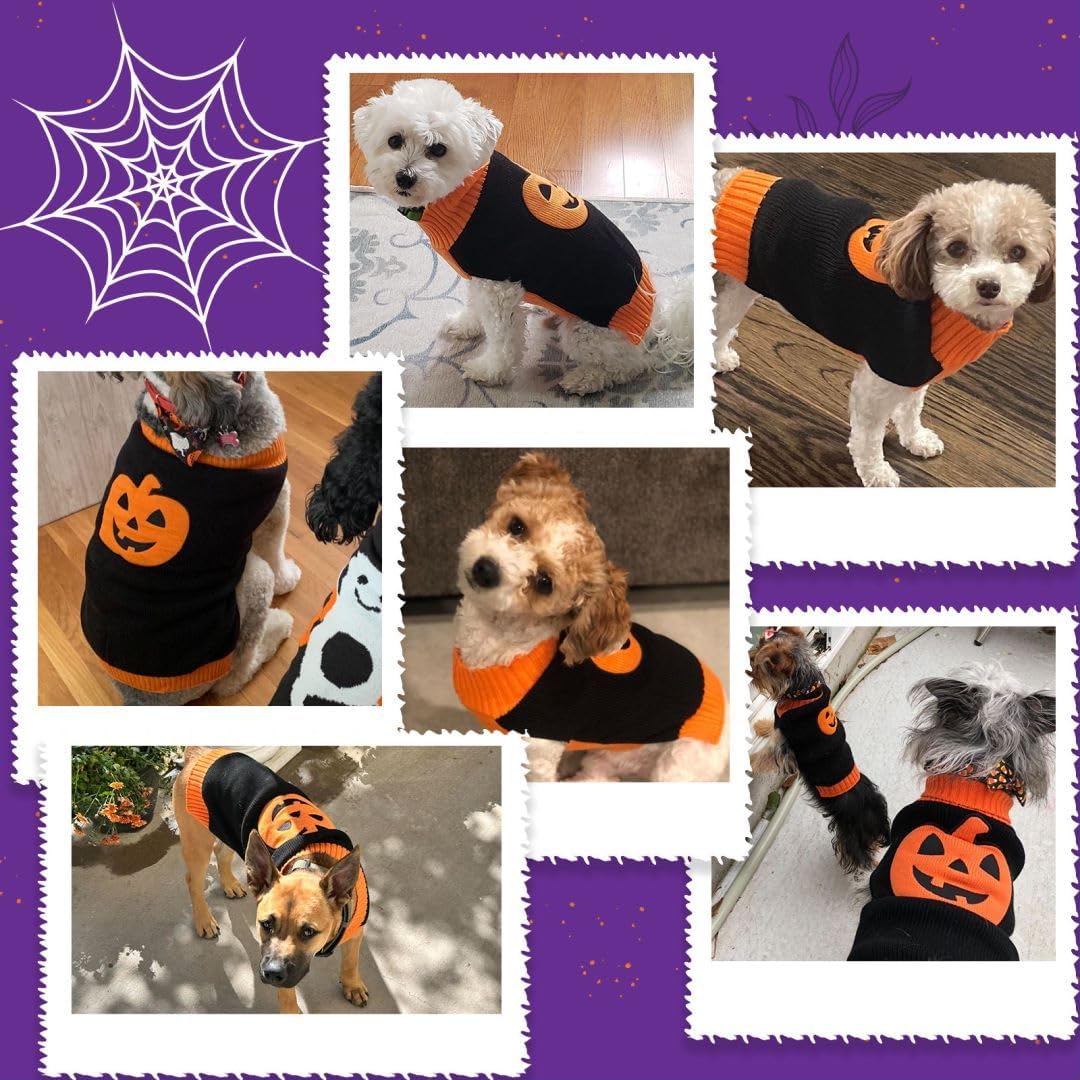 Knitted Pumpkin Dog Costume - Halloween Jumper for Small, Medium & Large Dogs - Funny Party Outfit for Cats & Puppies - Black