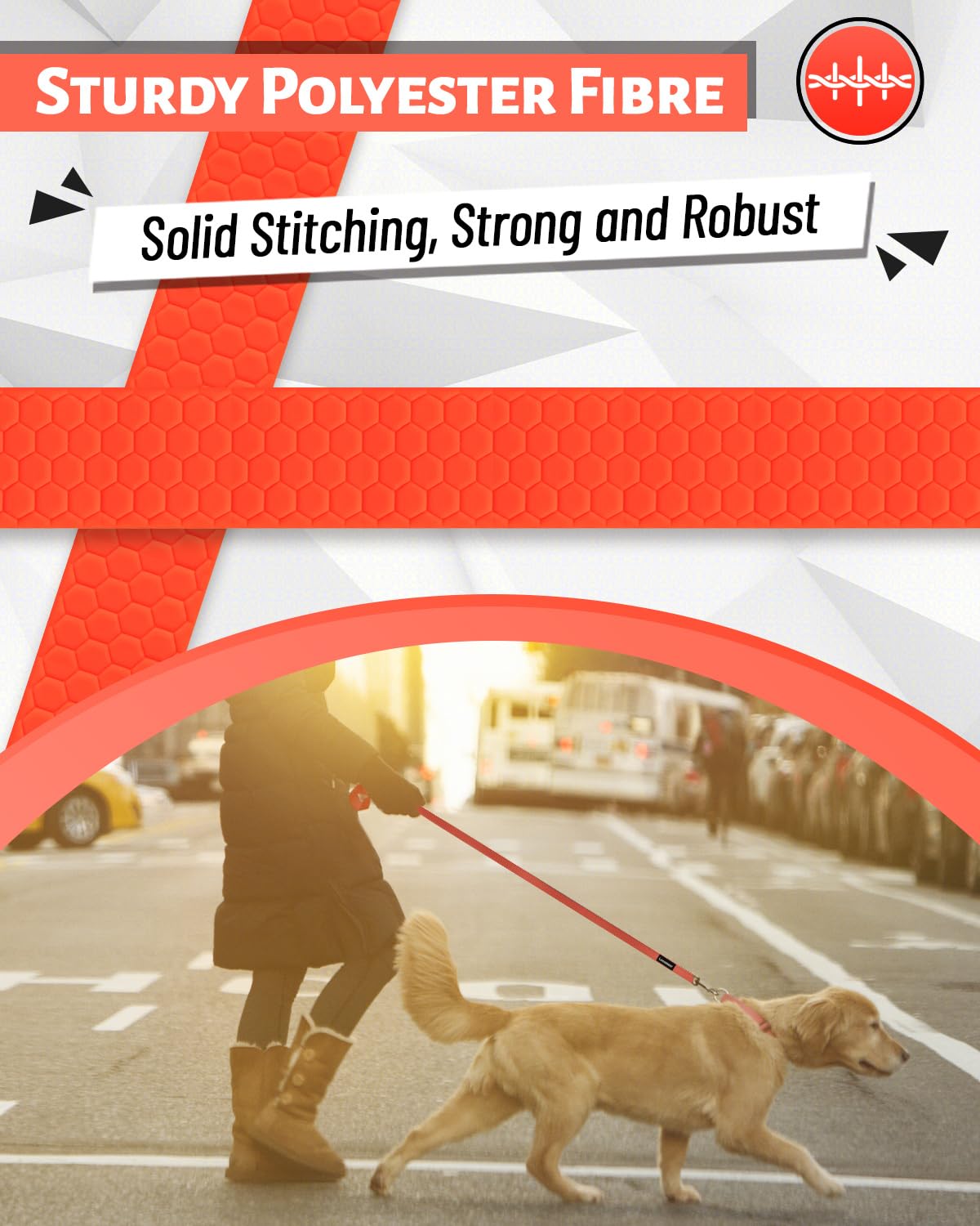 Looxmeer Training Lead for Dogs, 5m(16ft) Extra Long Line Dog Lead, Waterproof Dog Leash with Soft Padded Handle & Storage Bag for Training Recall Obedience, Tracking, Camping Play, Backyard, Orange