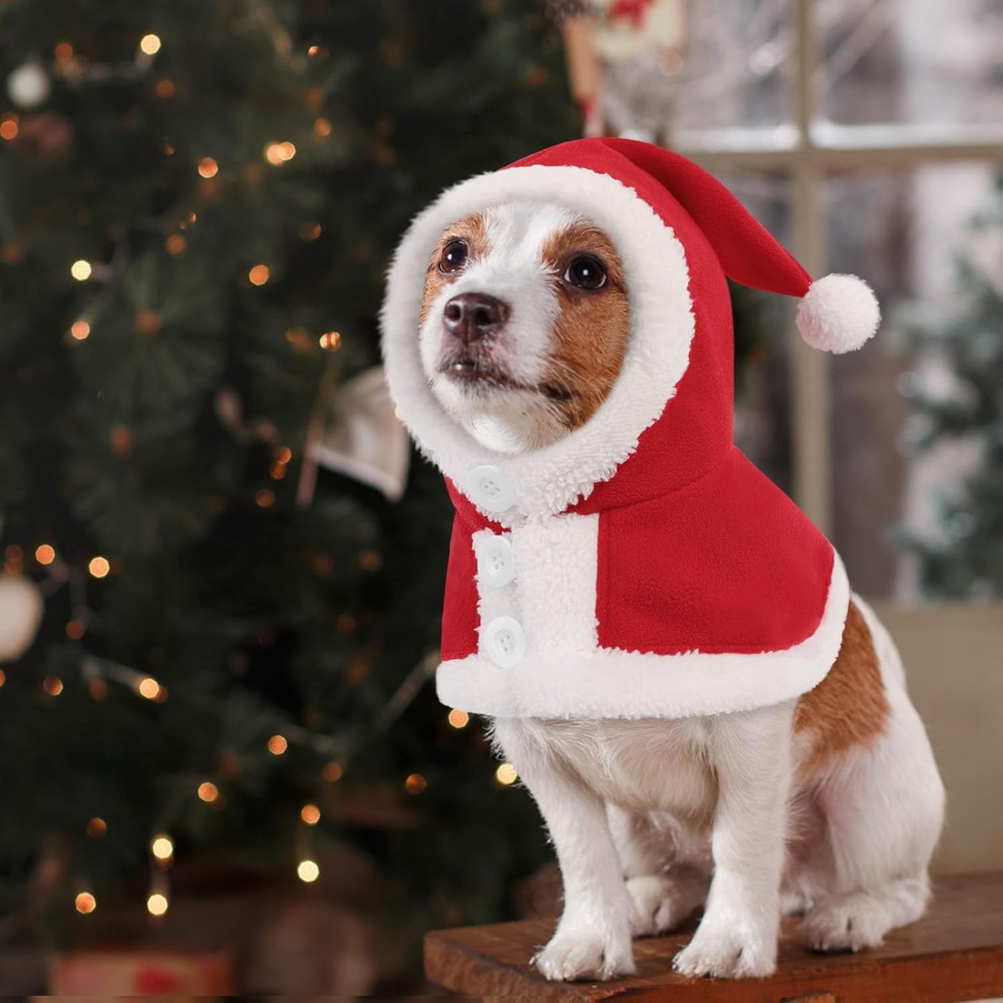 Christmas Costume for Medium Dog Santa Cape - Hooded Fleece Dog Cloak, Windproof Warm Christmas Outfit for Dogs