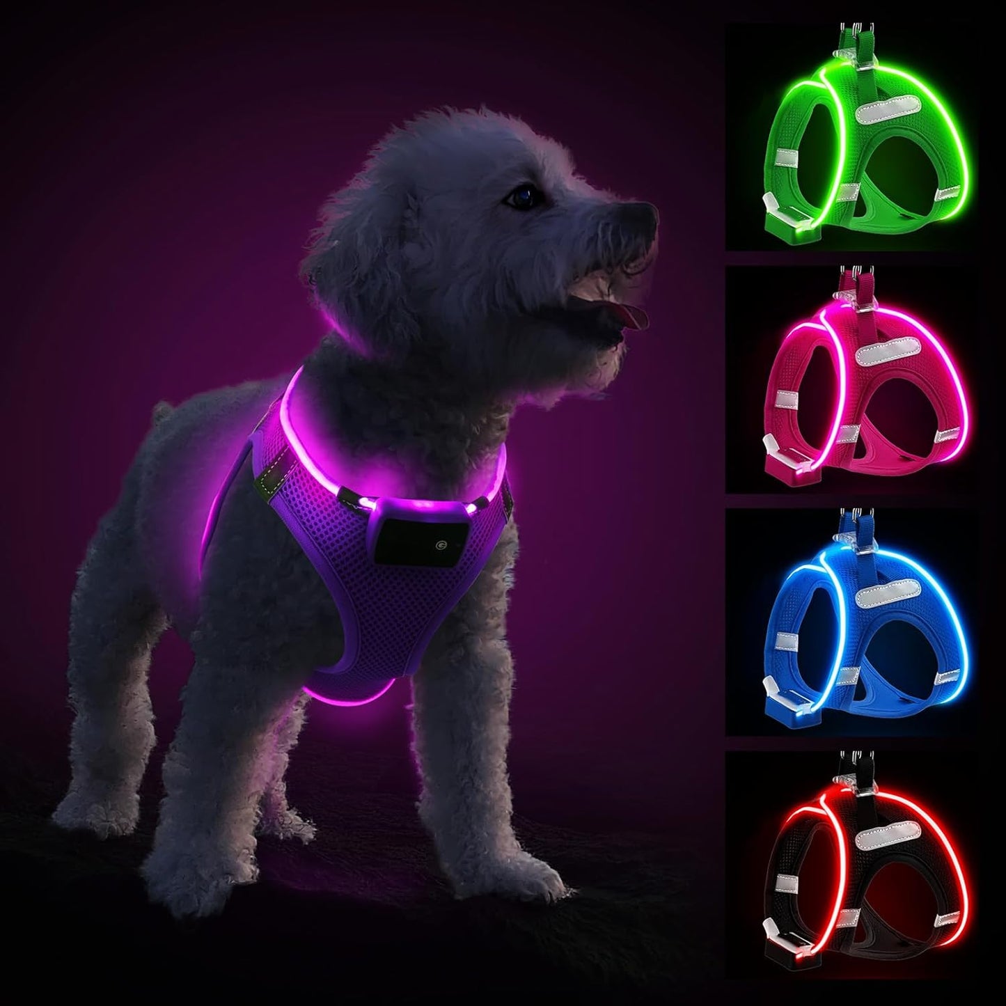 Light Up Dog Harness – Rechargeable LED Glow Harness for Small & Medium Dogs, Waterproof & Reflective for Night Walking