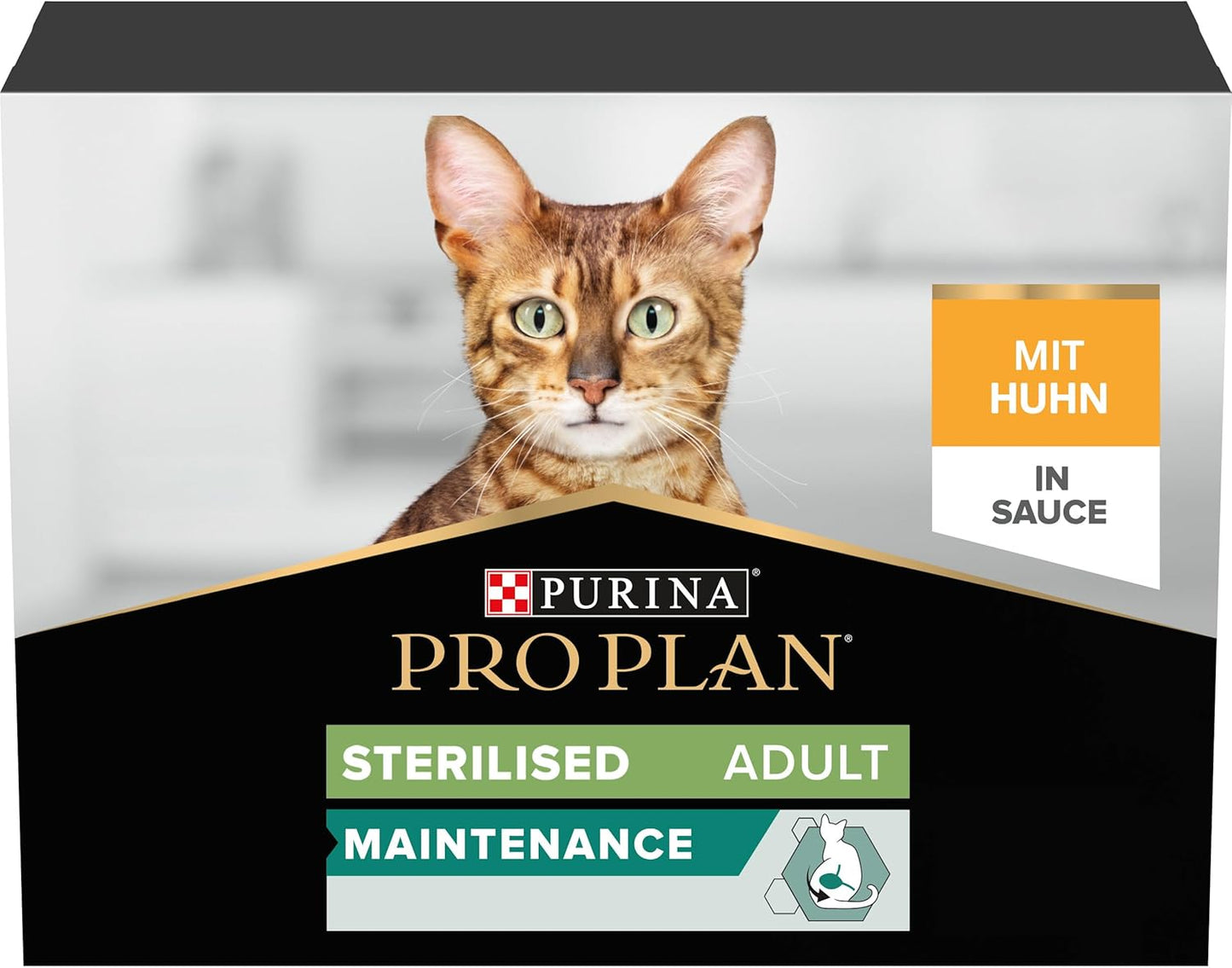 Purina Pro Plan Kitten Healthy Start — Kitten Dry Food | Chicken, Turkey, Duck, Ocean Fish, Delicate Digestion