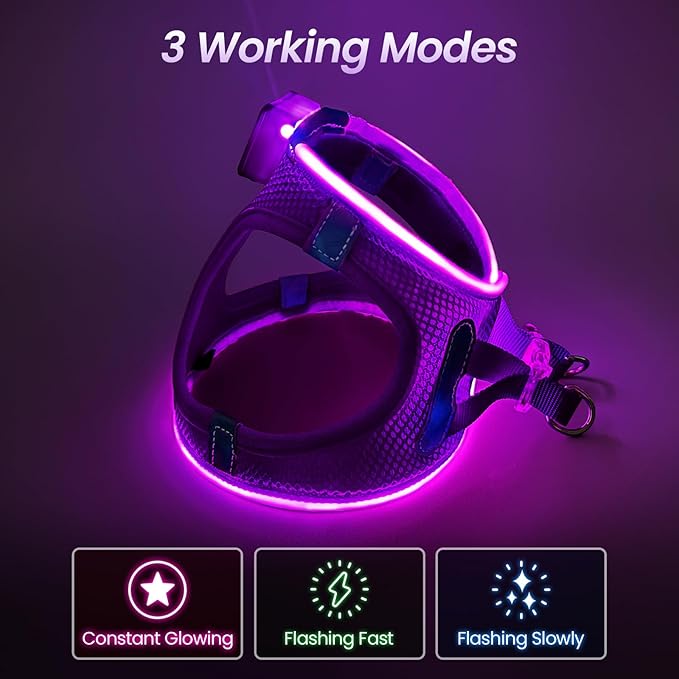 Light Up Dog Harness – Rechargeable LED Glow Harness for Small & Medium Dogs, Waterproof & Reflective for Night Walking
