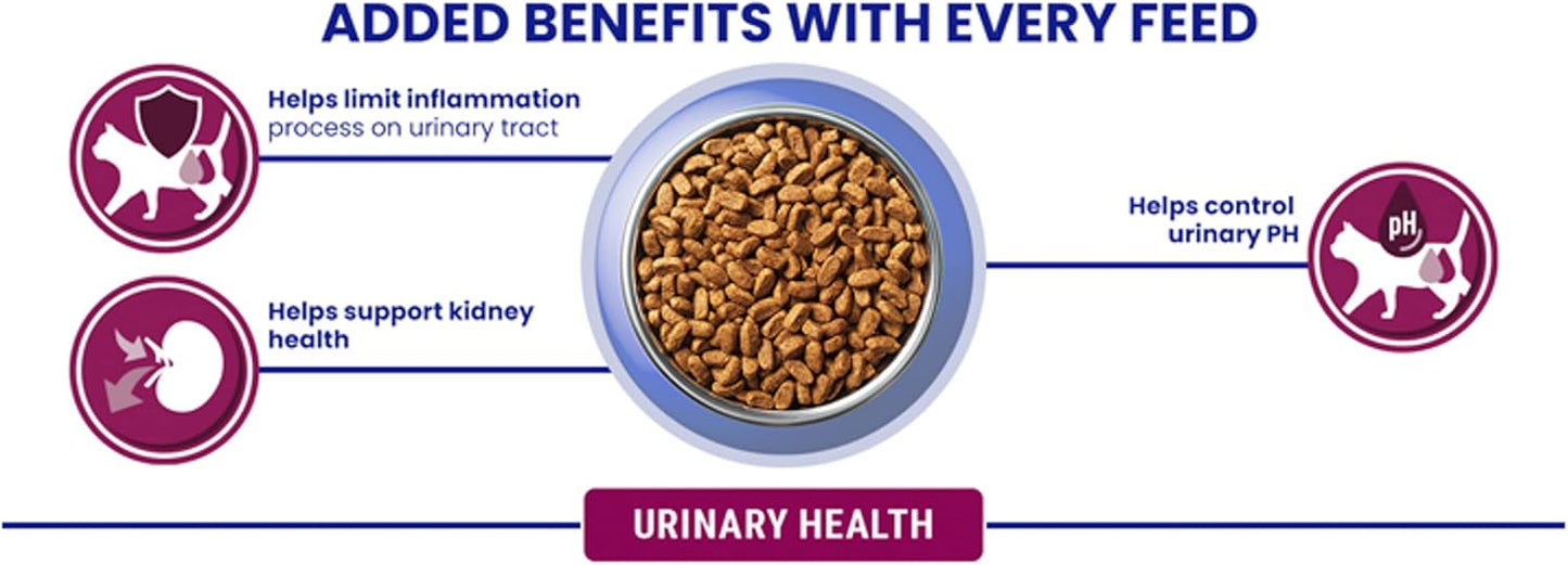 Purina ONE Dry Cat Food – Kitten, Adult & Senior